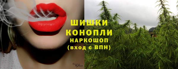 соль курить ск Каменногорск